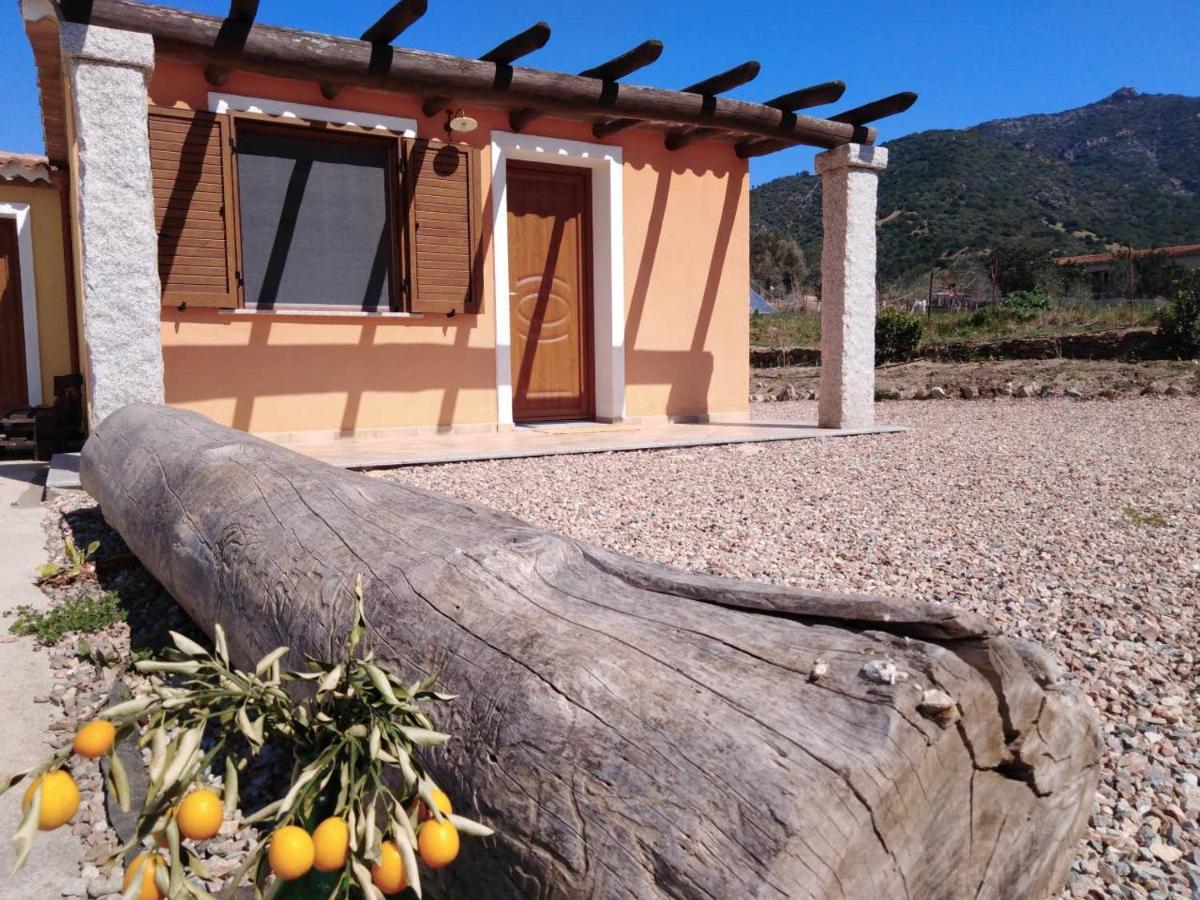 Agriturismo Donnolu Tertenìa Exterior foto