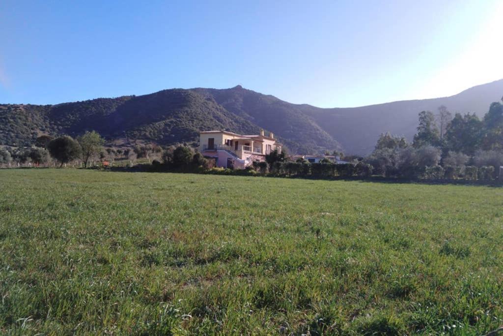 Agriturismo Donnolu Tertenìa Exterior foto